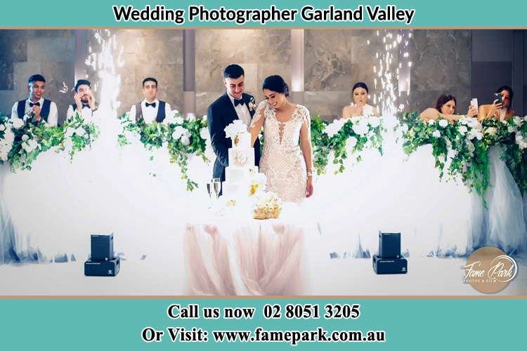 Photo of the Groom and the Bride slicing the cake Garland Valley NSW 2330