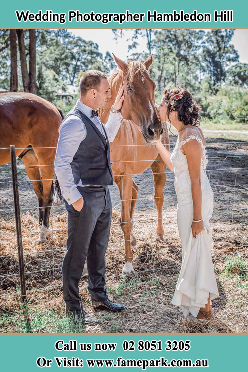 Photo of the Groom and the Bride caressing a horse Hambledon Hill NSW 2330