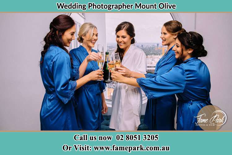 Photo of the Bride and the bridesmaids having wine Mount Olive NSW 2330