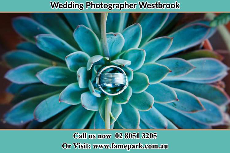 Photo of the wedding ring design at the top of the plant Westbrook NSW 2330