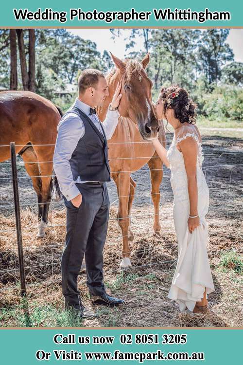 Photo of the Groom and the Bride caressing a horse Whittingham NSW 2330